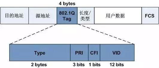 交換機的VLAN技術